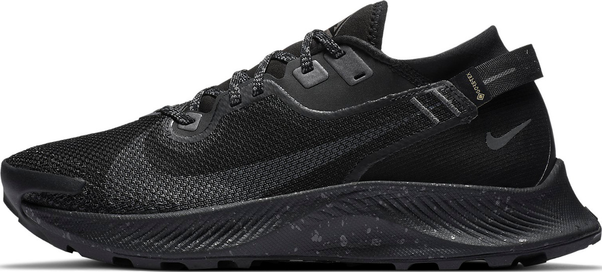 Nike WMNS PEGASUS TRAIL 2 GTX TerepfutÃ³ cipÅk - Top4Running.hu